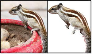 Read more about the article Learn How to Remove Background from Image in Photoshop