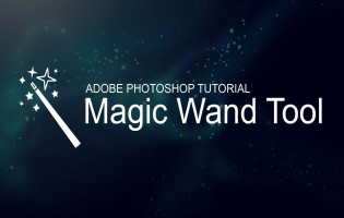 Read more about the article How to Remove Background Using Magic Wand Tool in Photoshop?